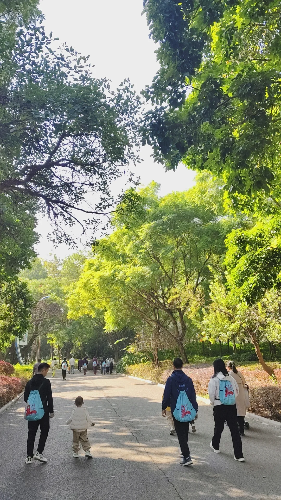 环柳州马鹿山健步行！🔥🔥🔥