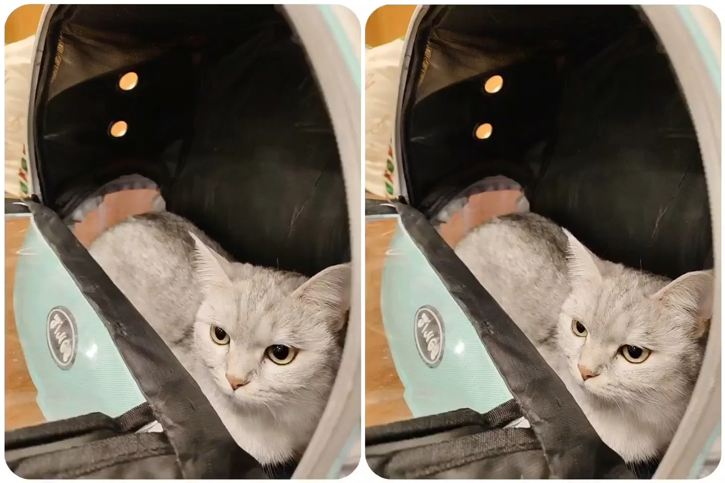 圣诞节来柳州玩有什么推荐吗？