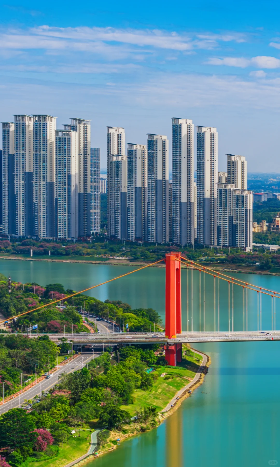 离开南宁才知道绿城两个字的含金量有多高