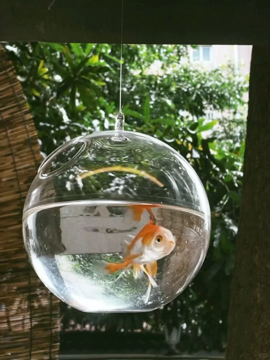 柳州 | 居民楼下的咖啡店！