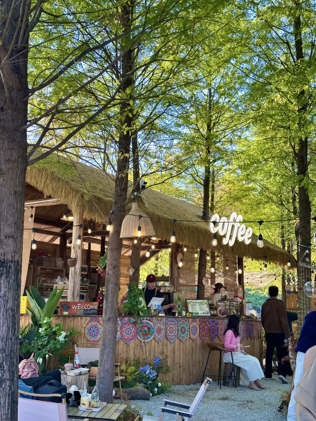 南宁！可以待一整天的绿光森林！！