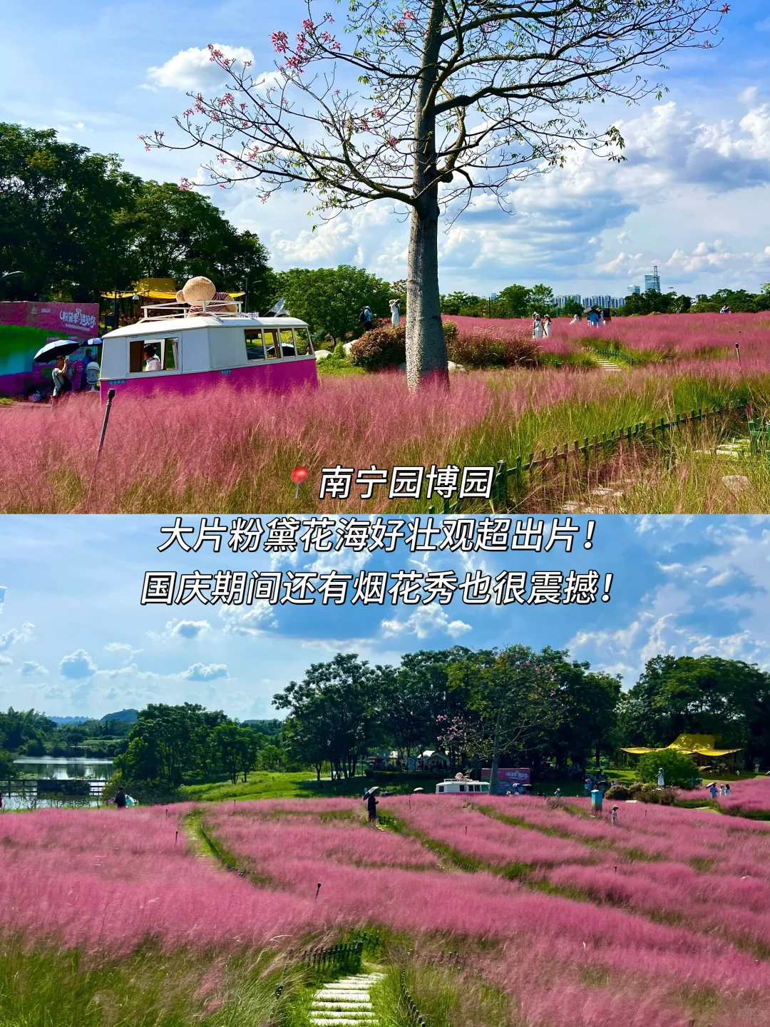 南宁特种兵一日游路线！详细攻略一篇就够！