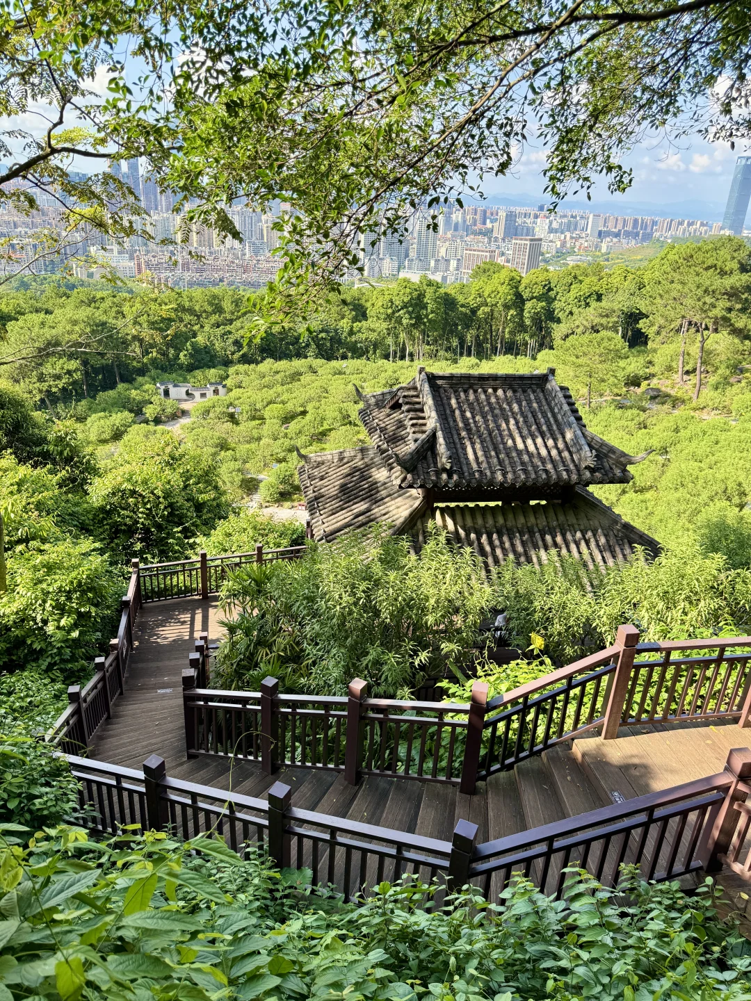 南宁青秀山4️⃣小时，不费脚！出片机位全攻略