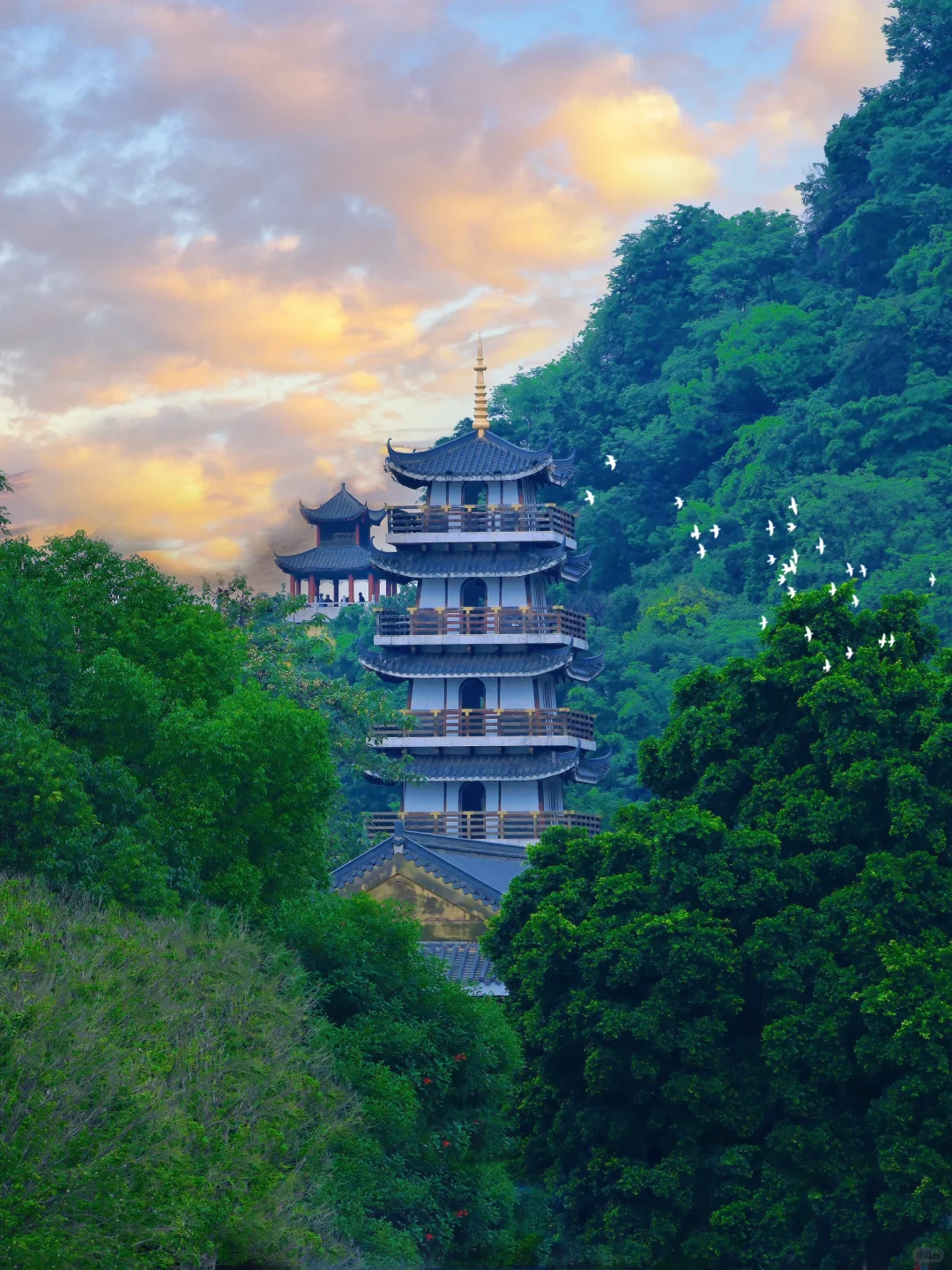 为了这❶❽张照片，我特意飞了一趟柳州