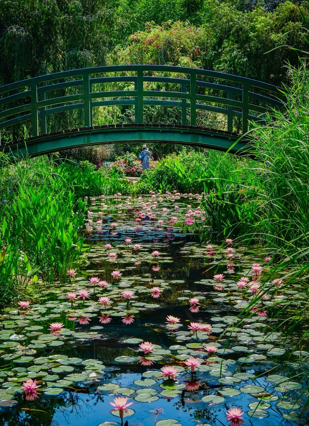 南宁唯一可以citywalk30000步的地方