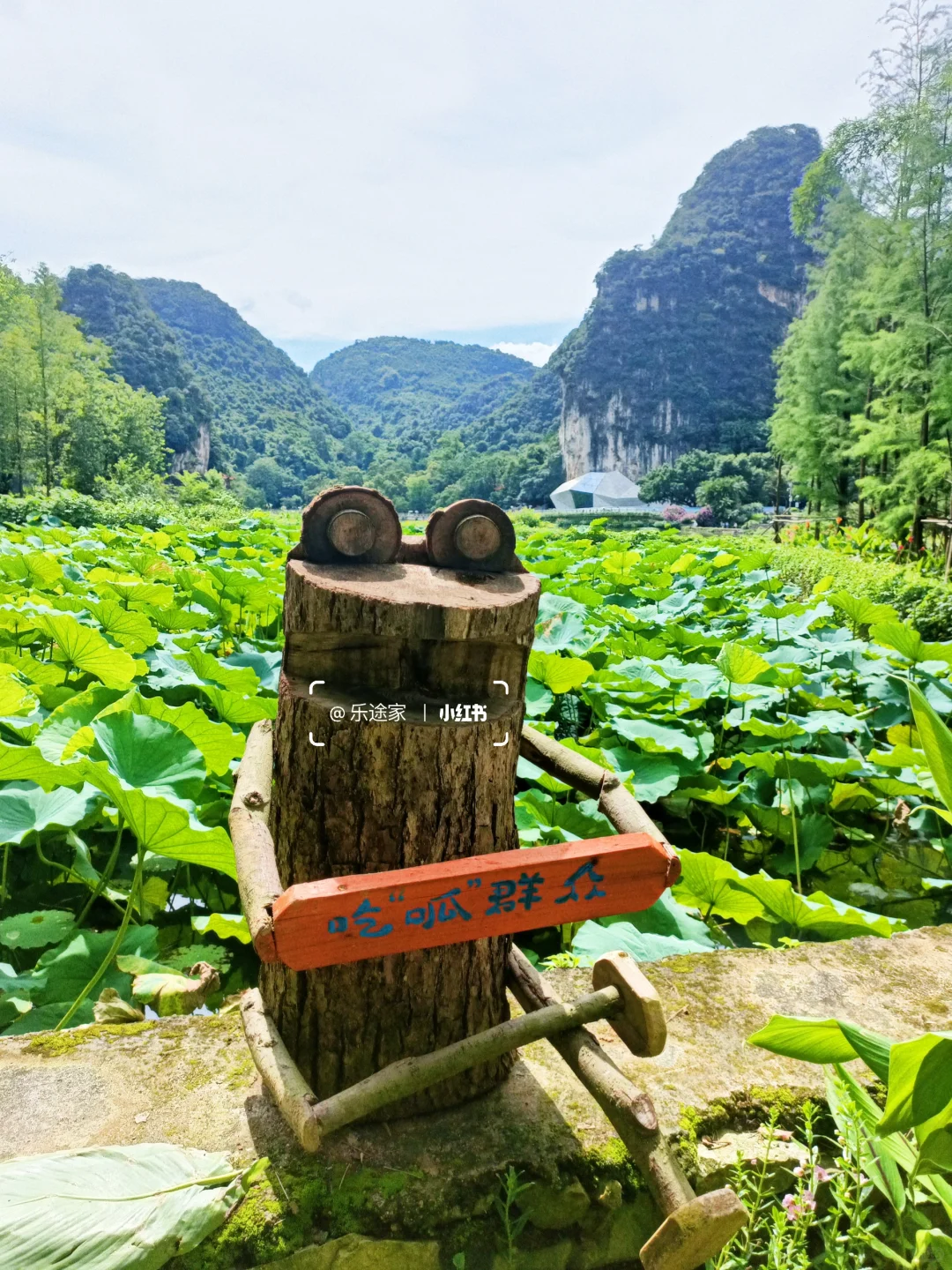 刚离开柳州，说点大实话，建议看完再去！