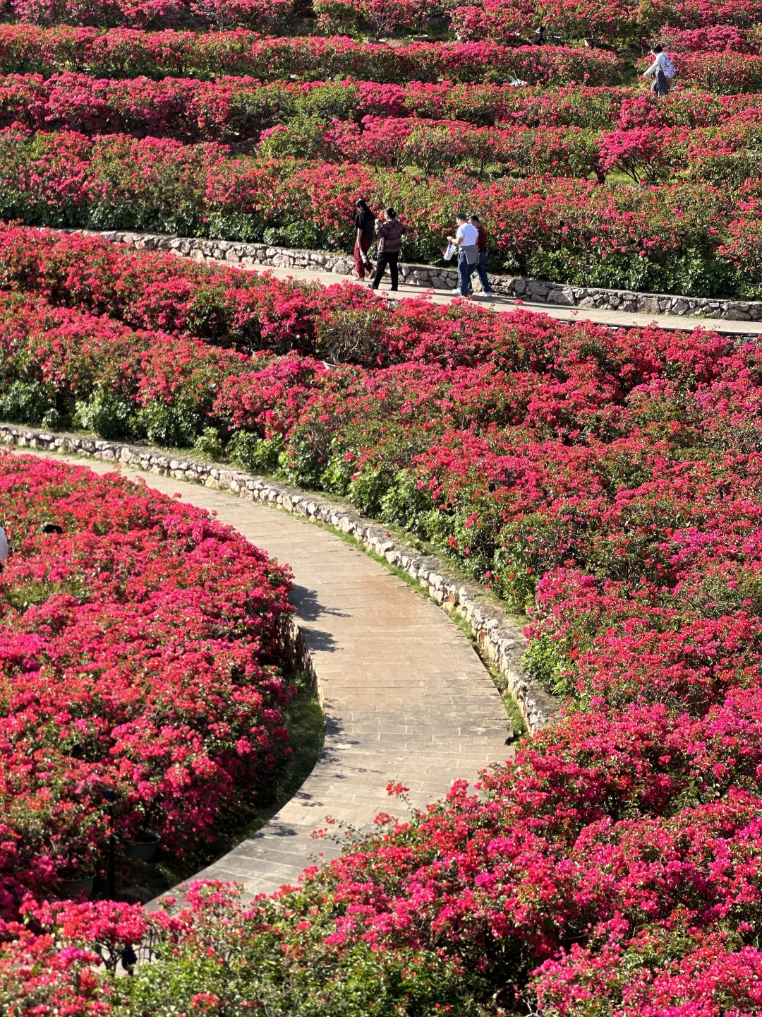 听说北方人这时候都很羡慕南方??