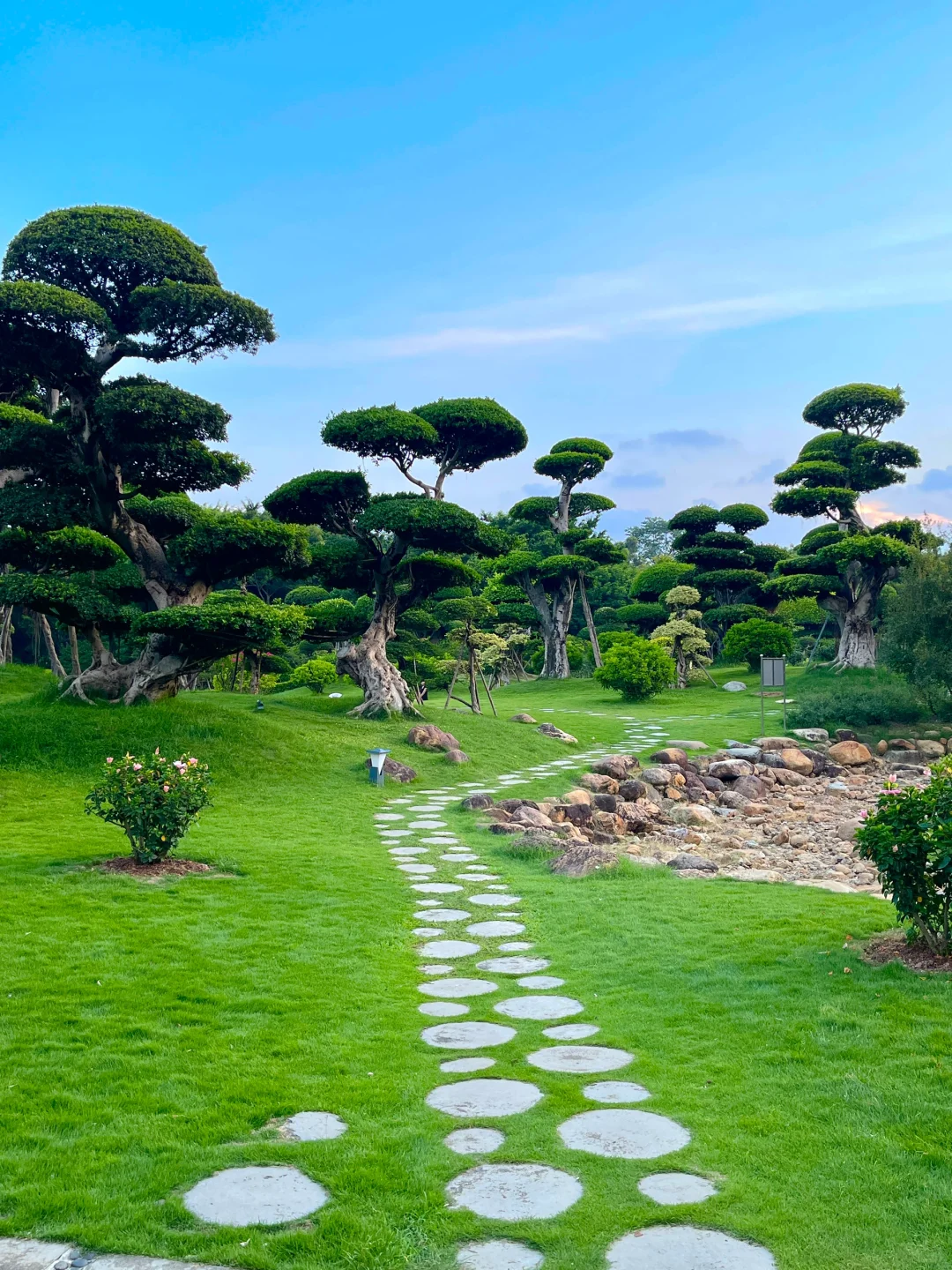 在南宁！这是什么神仙地方⁉️美到窒息🌳