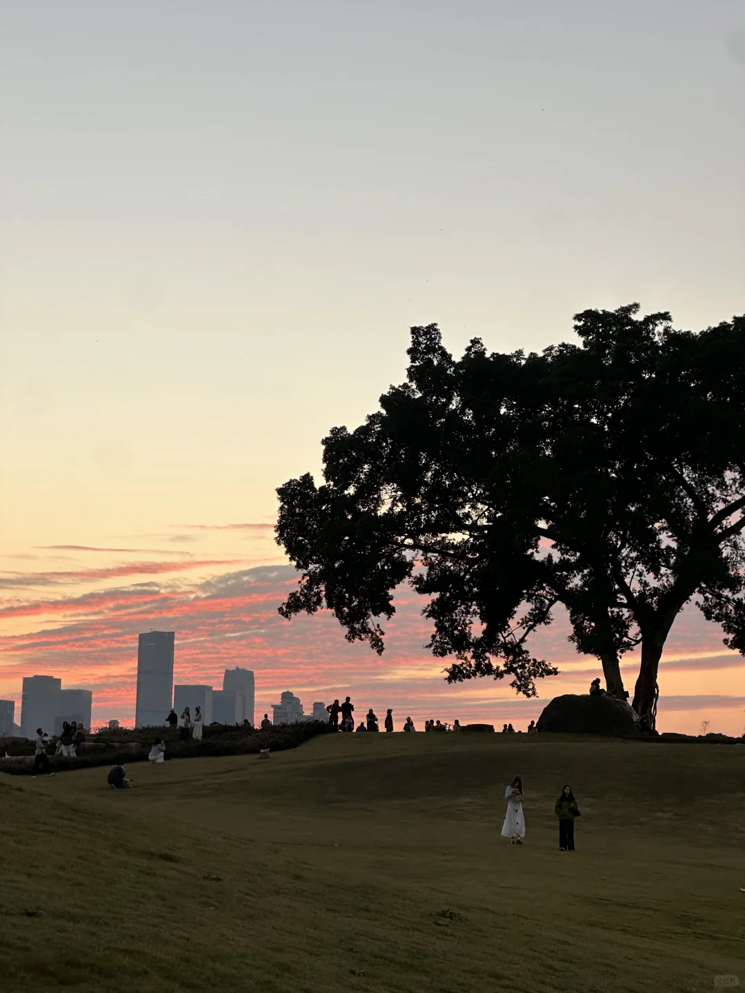 听说北方人这时候都很羡慕南方??