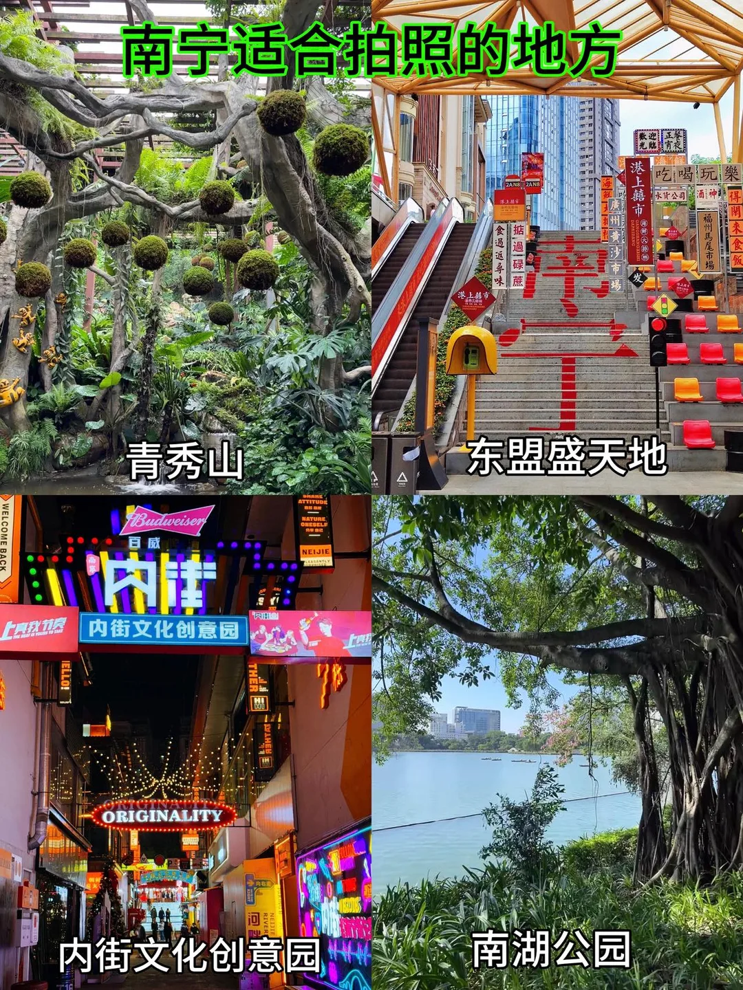 被自己做的南宁攻略满意到睡不着🤭