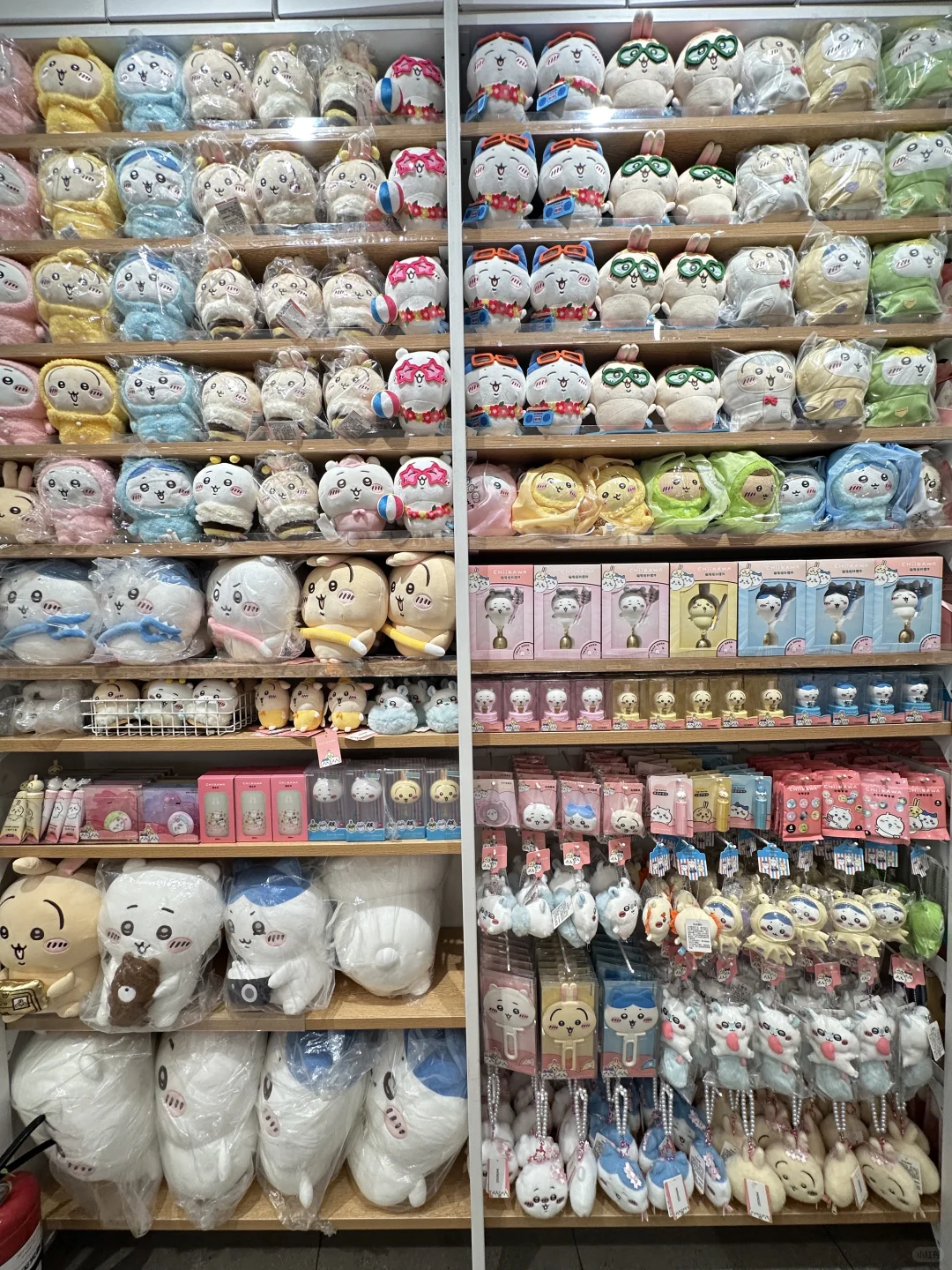 福仔们！这家真的太好逛了！