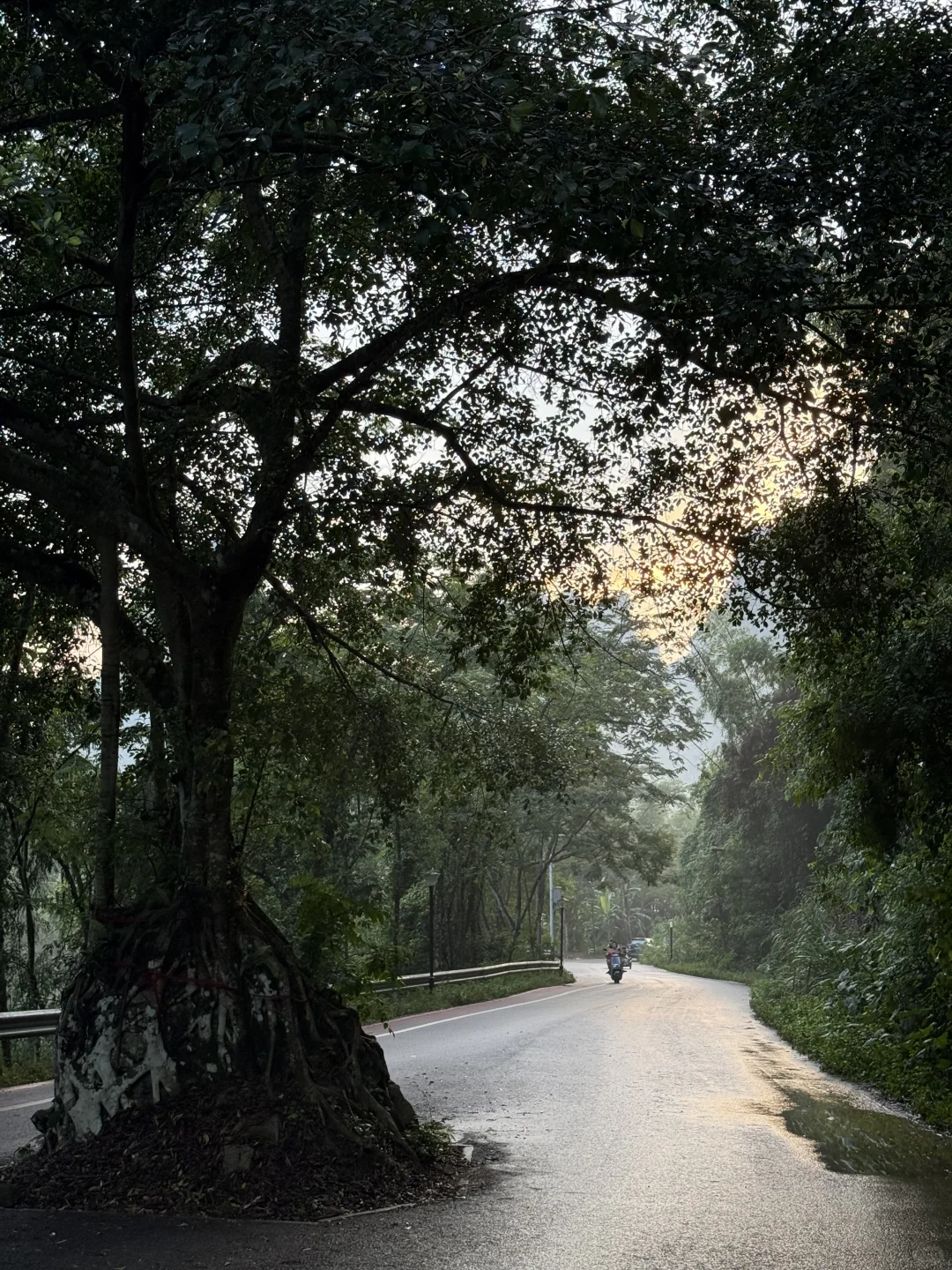 崇左-南宁 | 3天3晚，避开人流看山水真的香