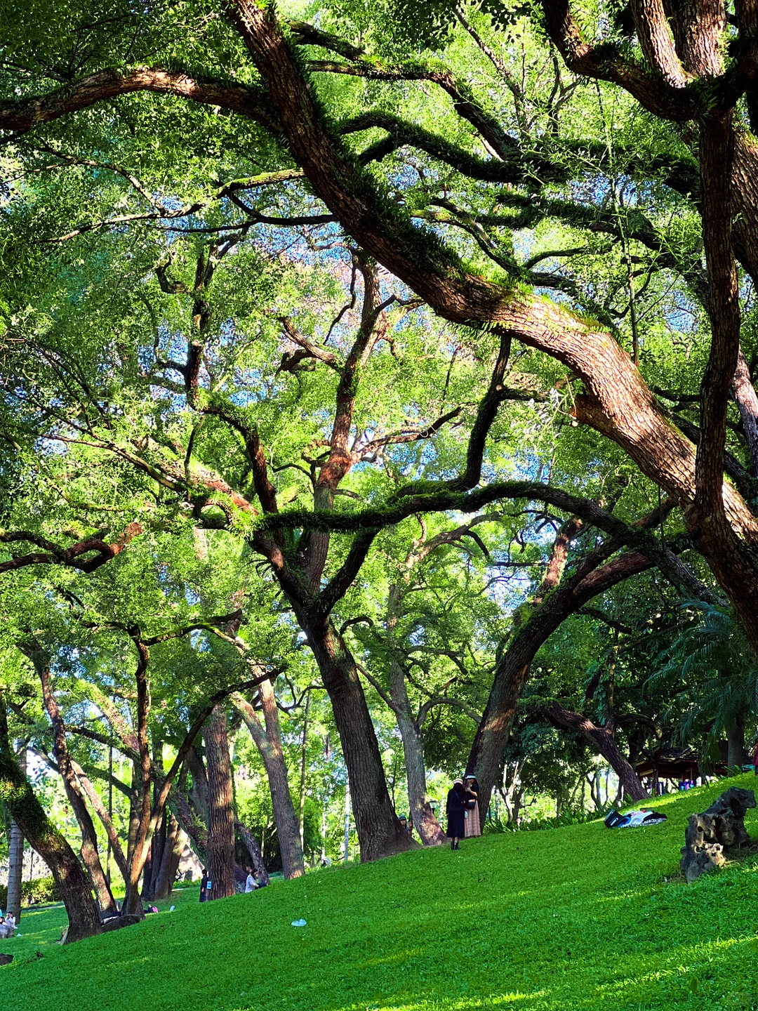 南宁citywalk。。。跑了这18个地方，我惊呆了！