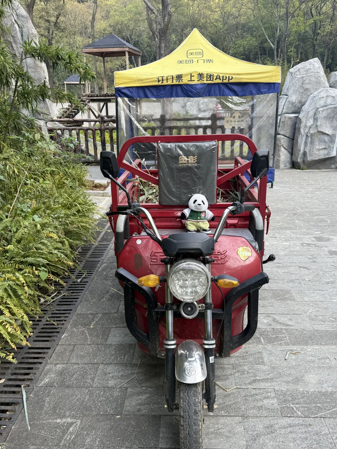 mini么去柳州动物园看大熊猫明浜&蜀琳