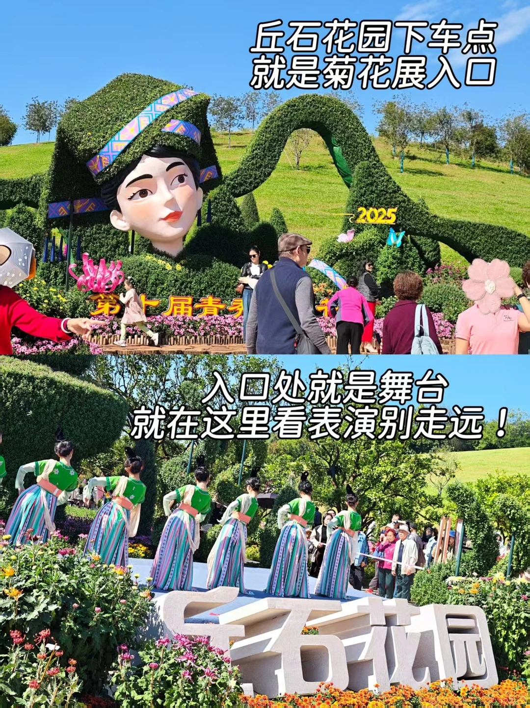 南宁菊花展！！第一梯队速报！！