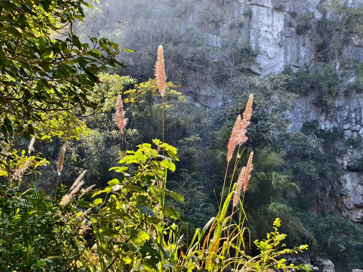柳州鹿寨、中渡一日游