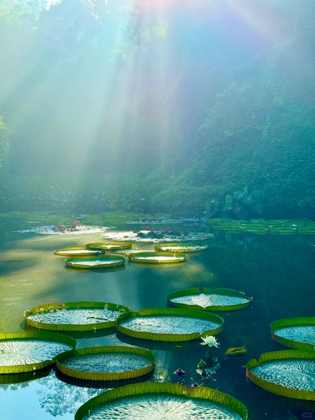 南宁唯一可以citywalk30000步的地方