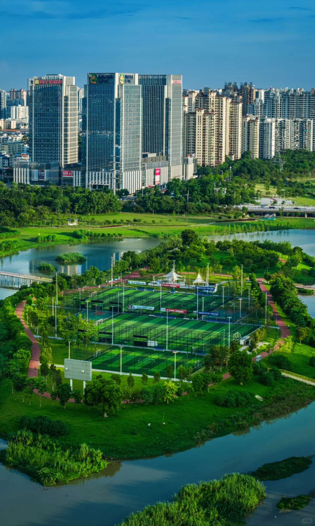 离开南宁才知道绿城两个字的含金量有多高