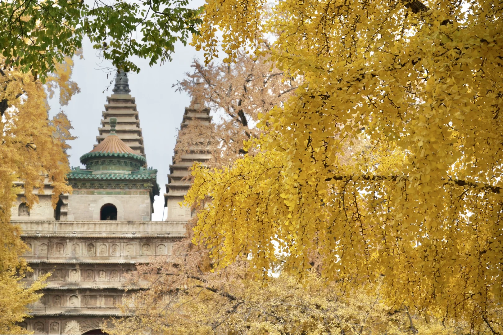 南宁周末两天赏秋攻略🍁看着一篇就够啦‼️
