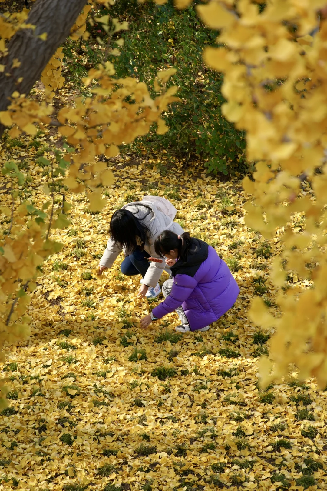 南宁周末两天赏秋攻略🍁看着一篇就够啦‼️