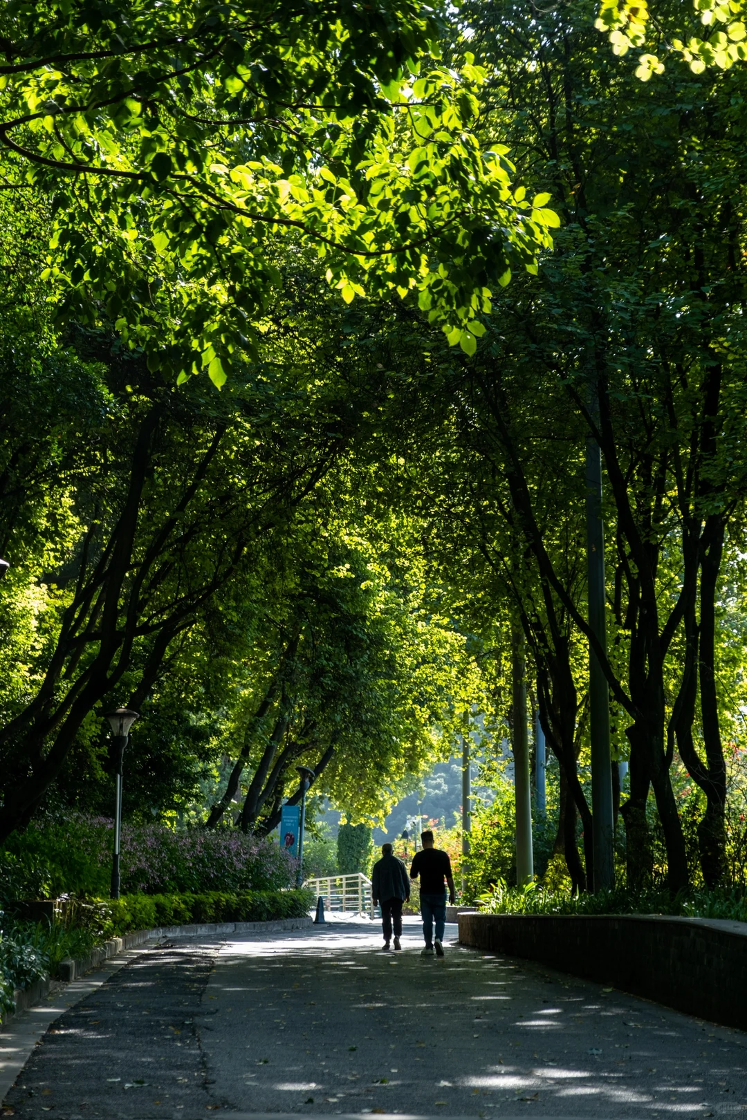 柳州Citywalk拍照打卡路线