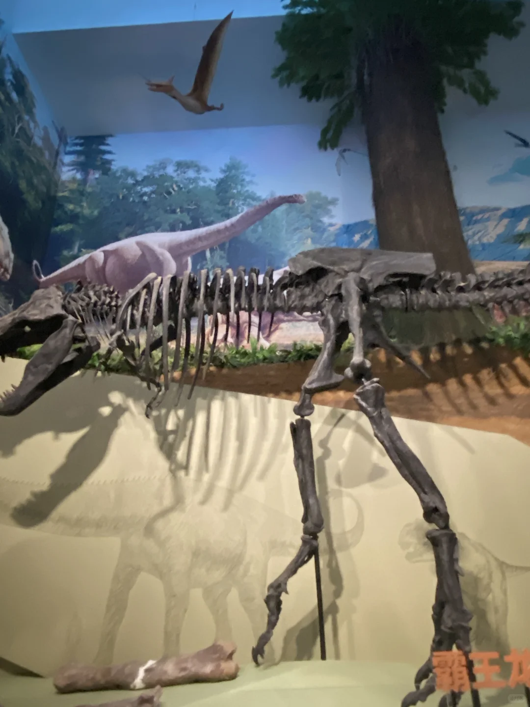 后劲太大❗️柳州居然藏了个全国No1博物馆