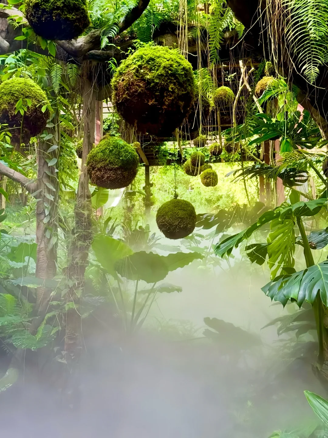 南宁唯一可以citywalk30000步的地方