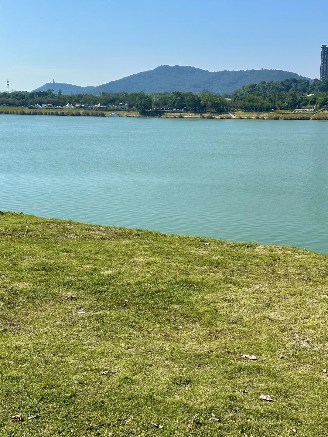 南宁！可以待一整天的绿光森林！！