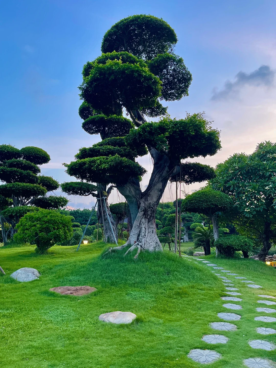 在南宁！这是什么神仙地方⁉️美到窒息🌳