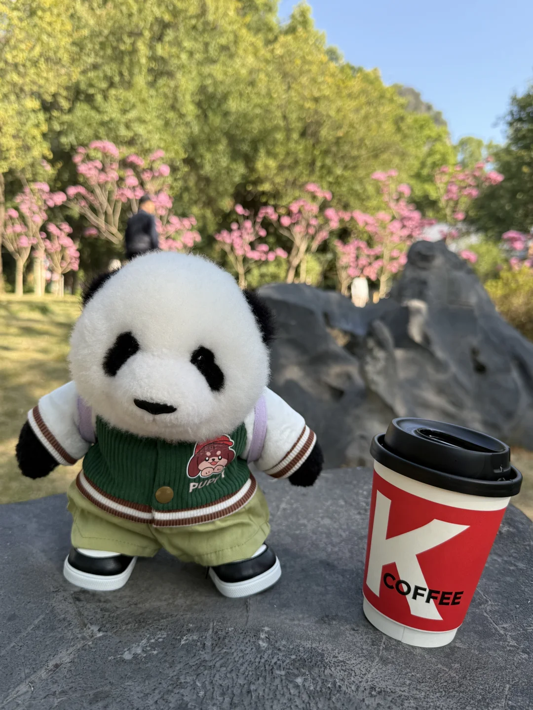 mini么去柳州动物园看大熊猫明浜&蜀琳