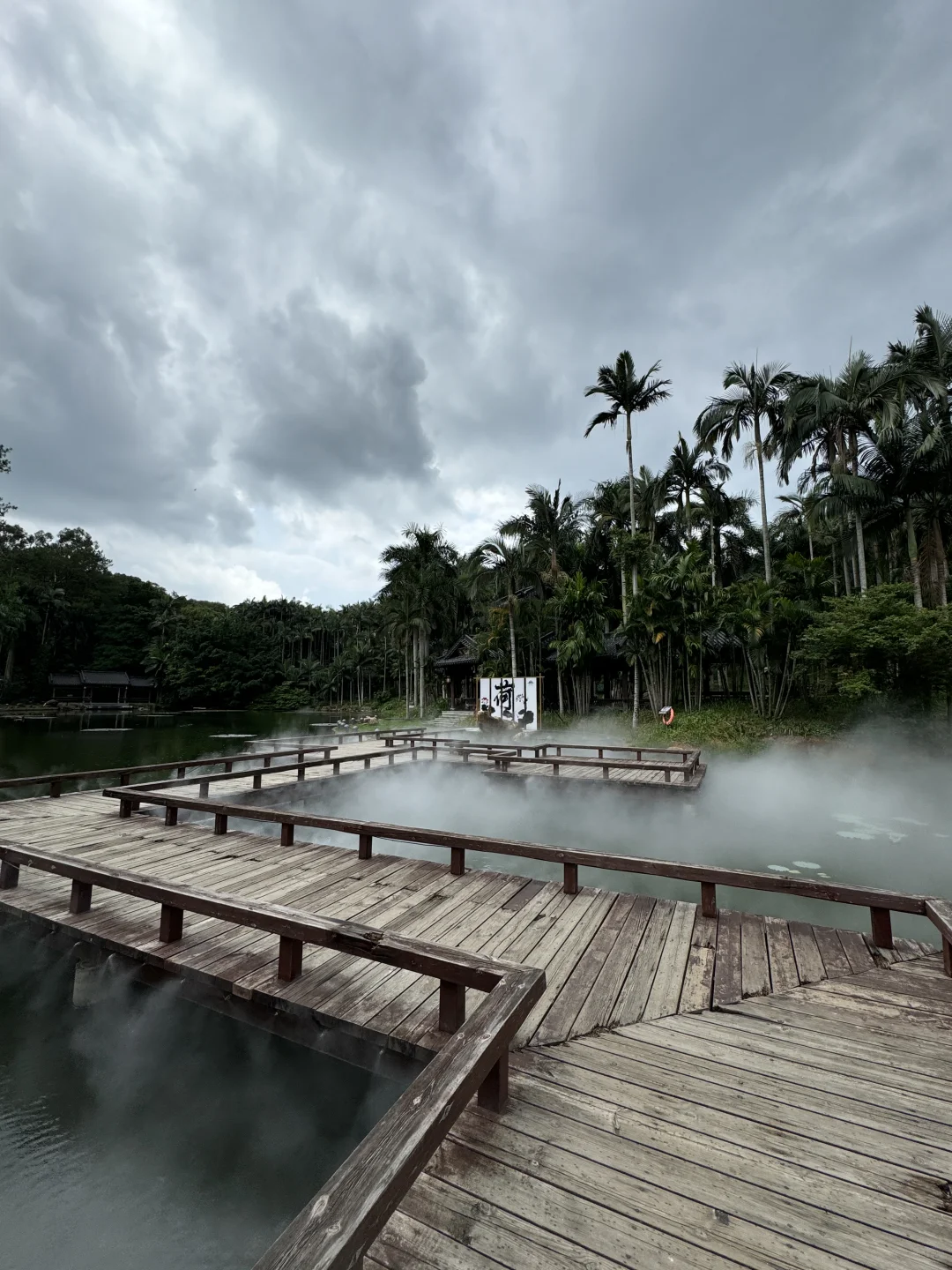 植物爱好者来南宁青秀山会激动的疯掉！