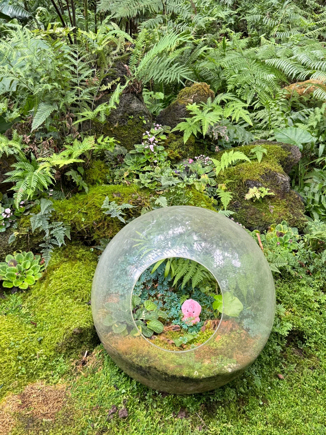 植物爱好者来南宁青秀山会激动的疯掉！