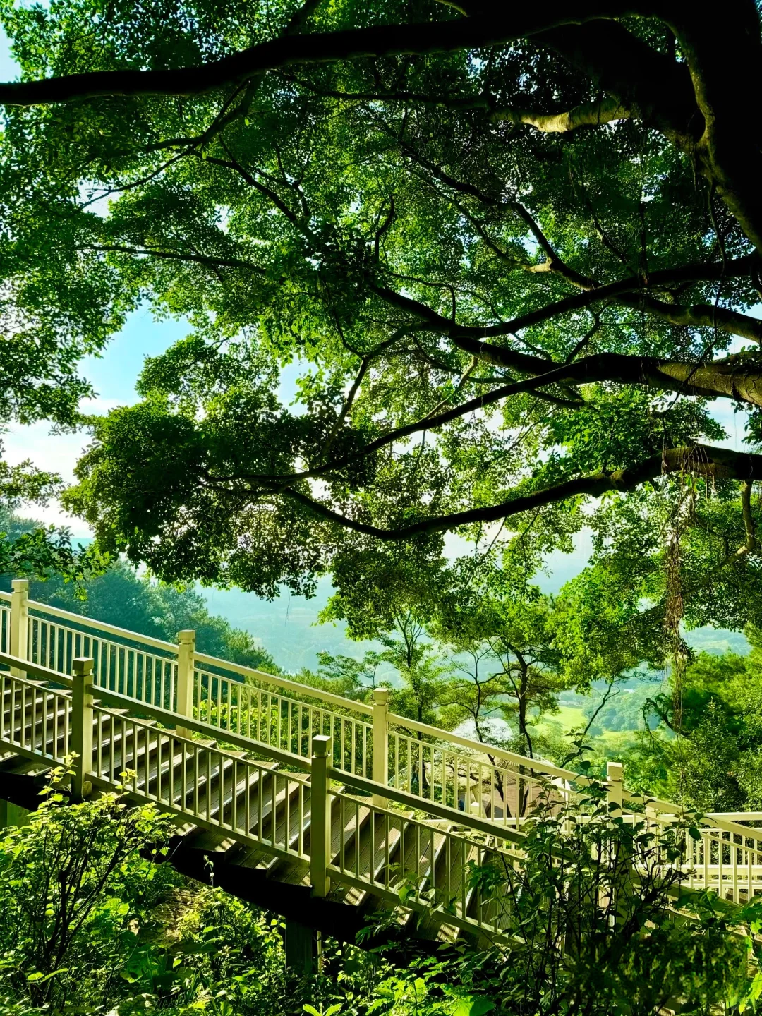 南宁唯一可以citywalk30000步的地方