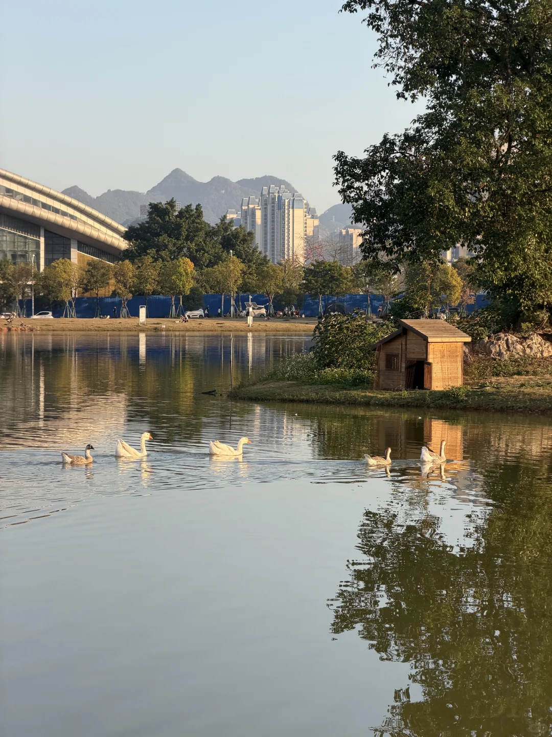 柳州的这里好chill！