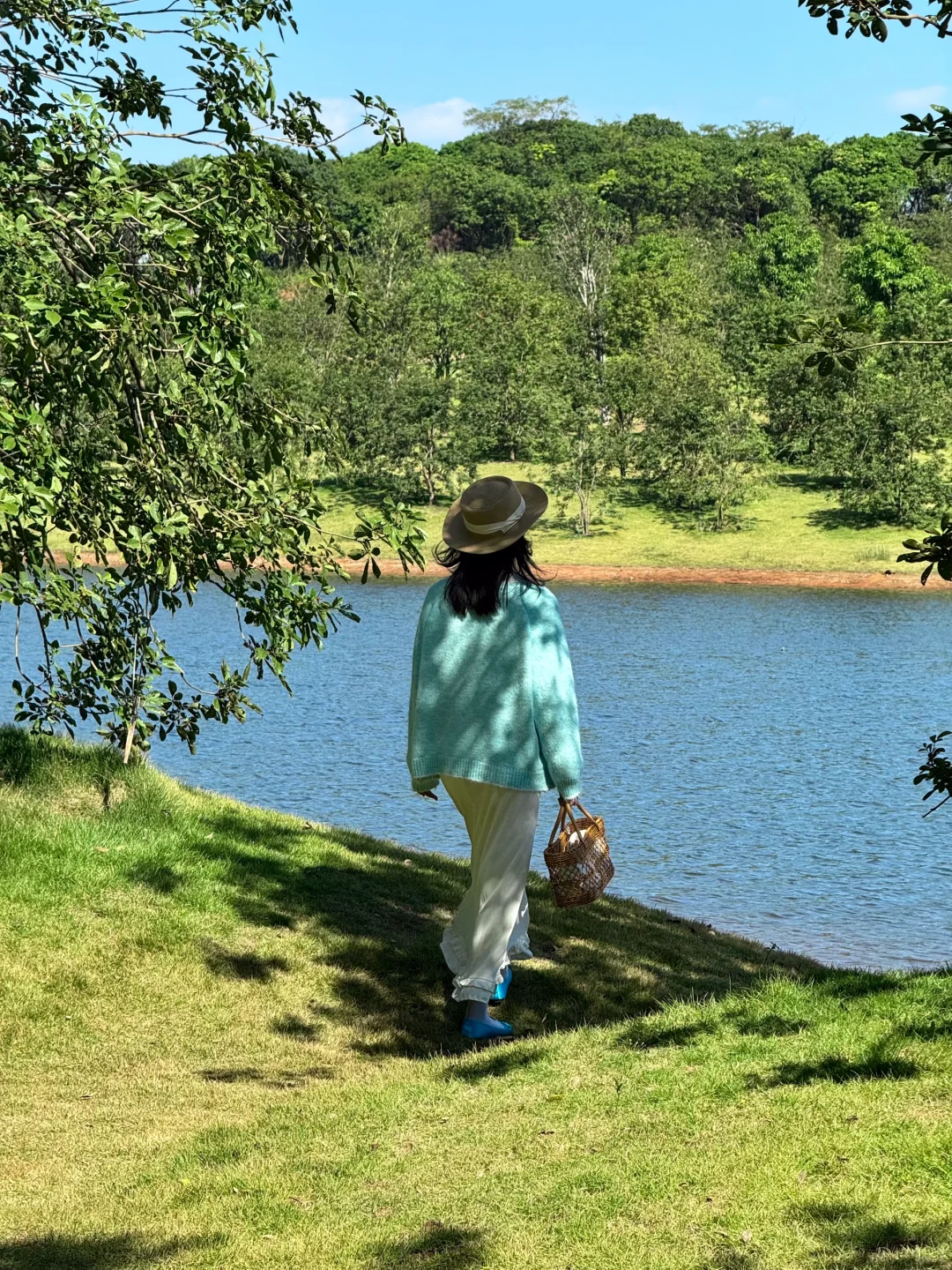 南宁菊花展！！第一梯队速报！！