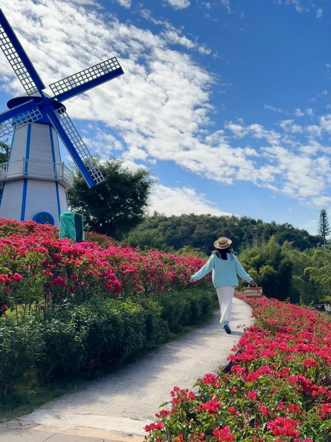 南宁菊花展！！第一梯队速报！！