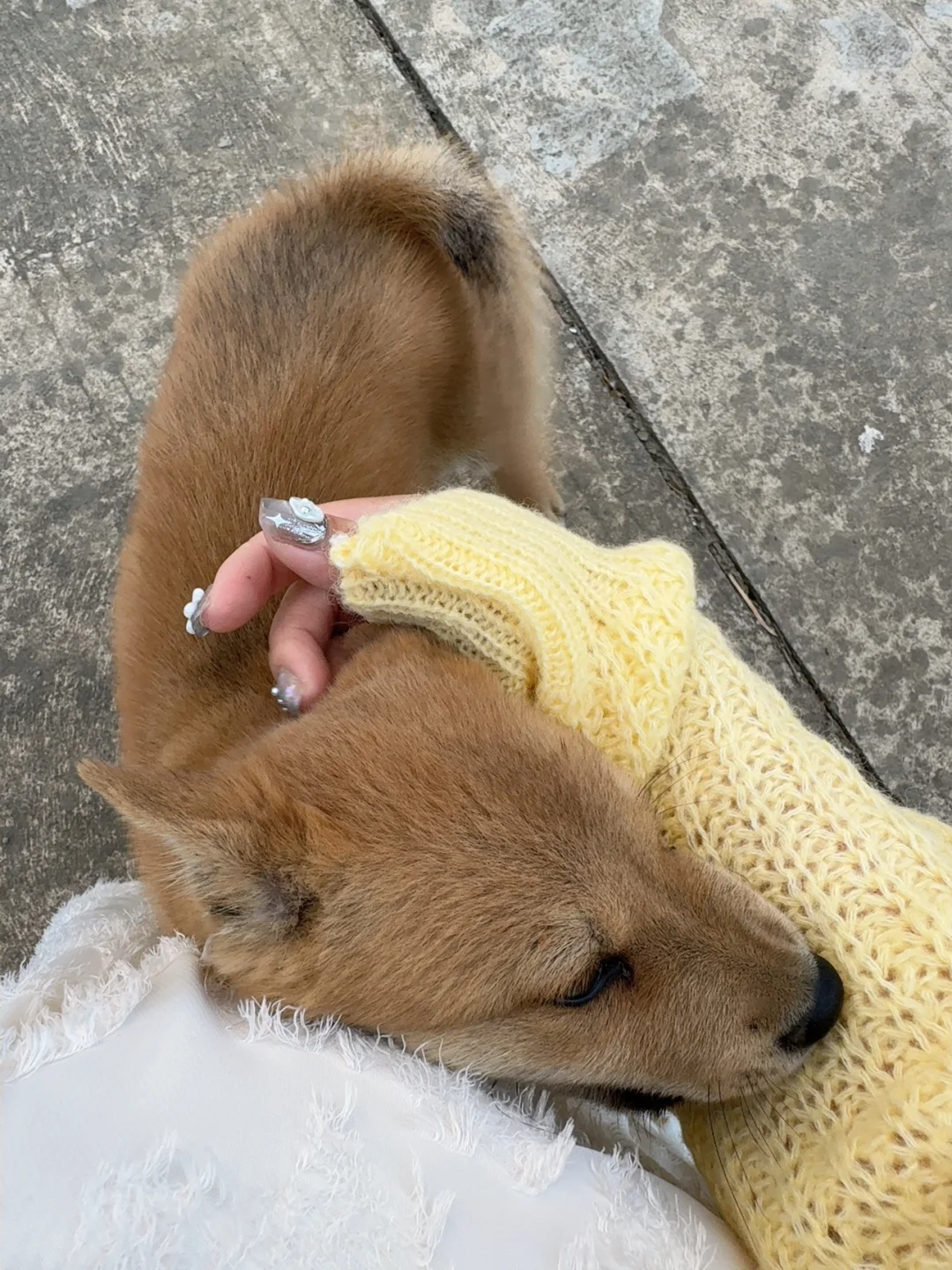 柳州｜漫花庄园太适合拍照📷了吧