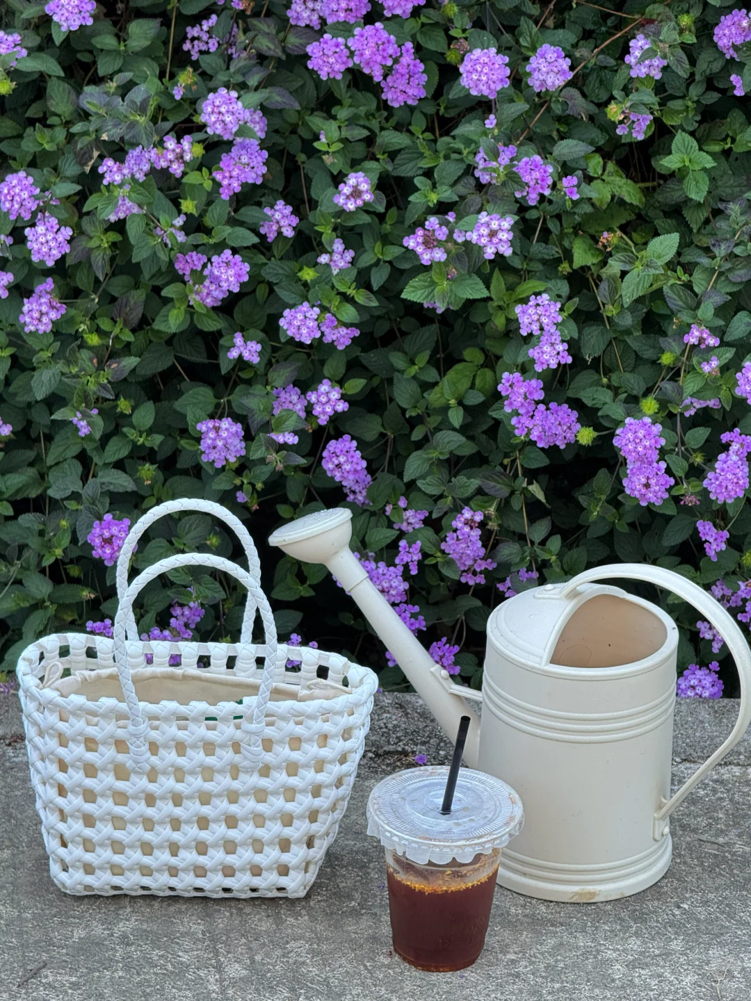 柳州｜漫花庄园太适合拍照📷了吧