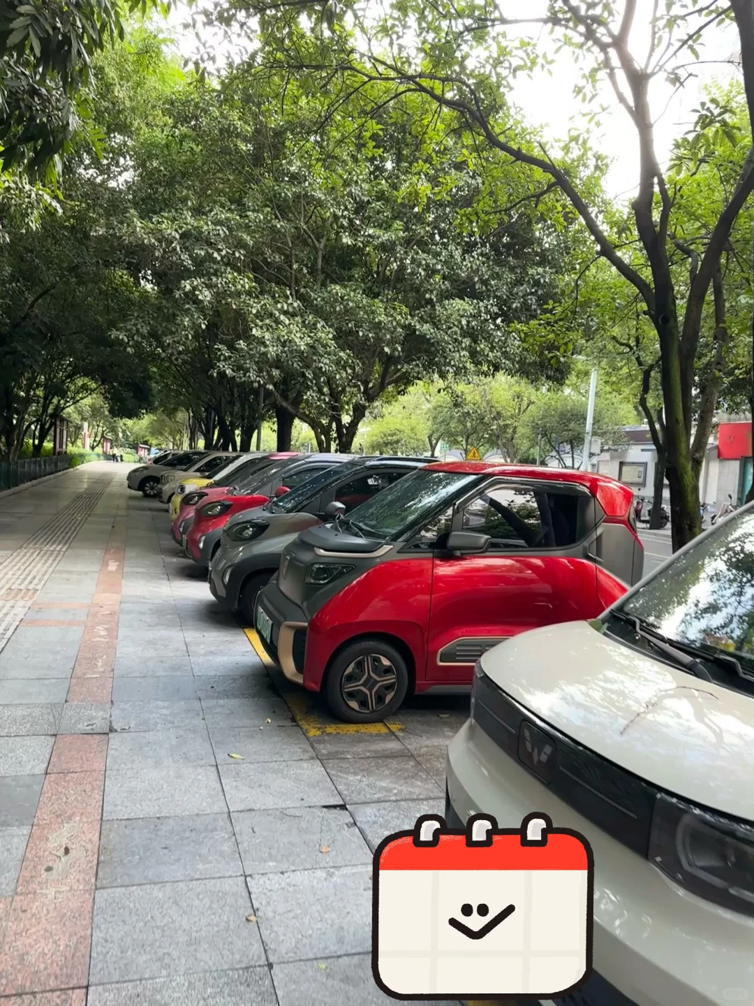 柳州人民才是幸福指数最高的吧😭