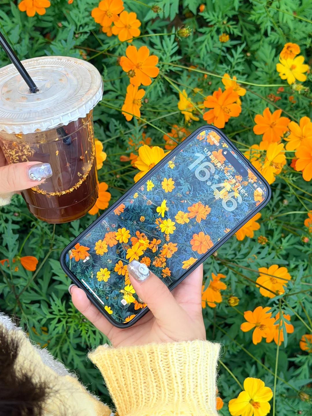 柳州｜漫花庄园太适合拍照📷了吧