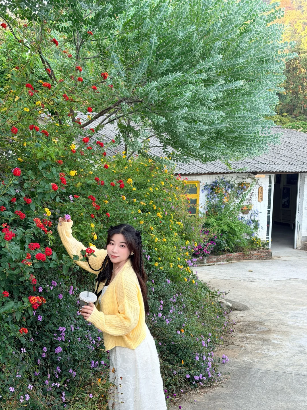 柳州｜漫花庄园太适合拍照📷了吧