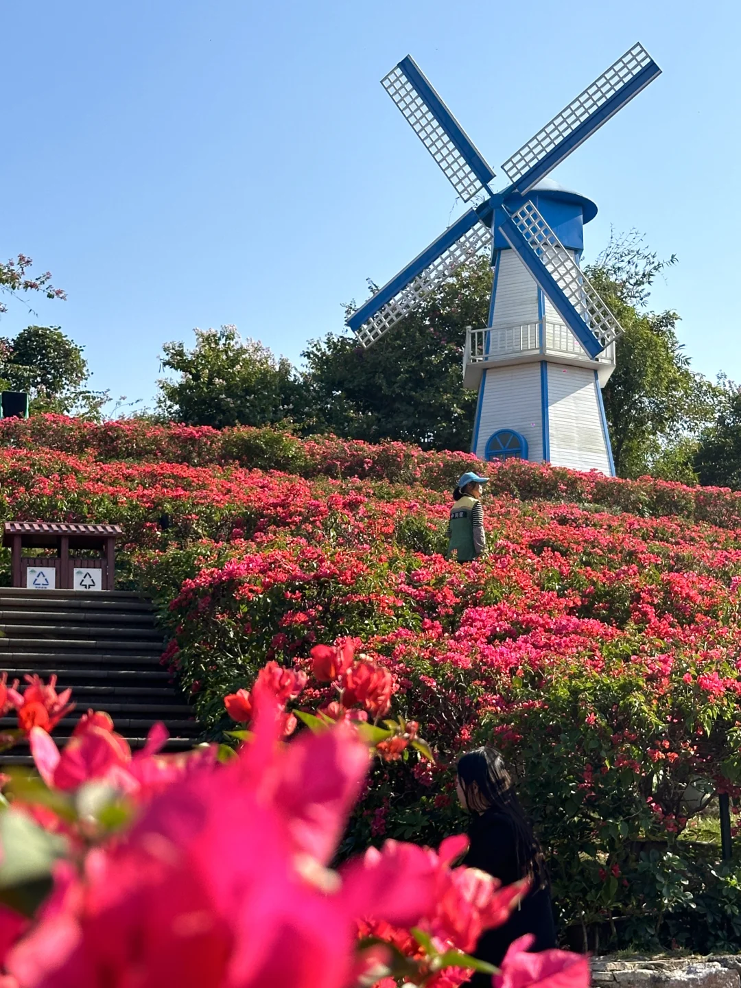 听说北方人这时候都很羡慕南方??