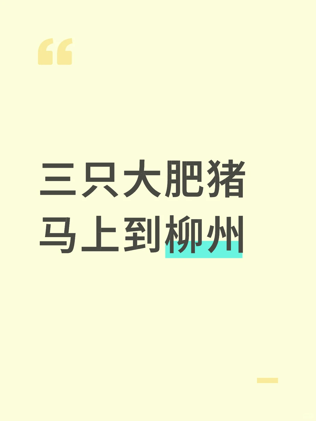 三只大肥猪马上到柳州！！！！！！