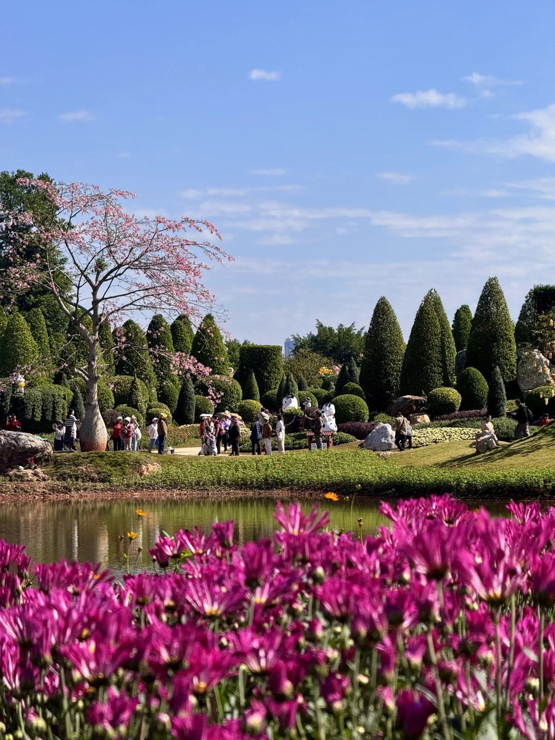 南宁菊花展！！第一梯队速报！！