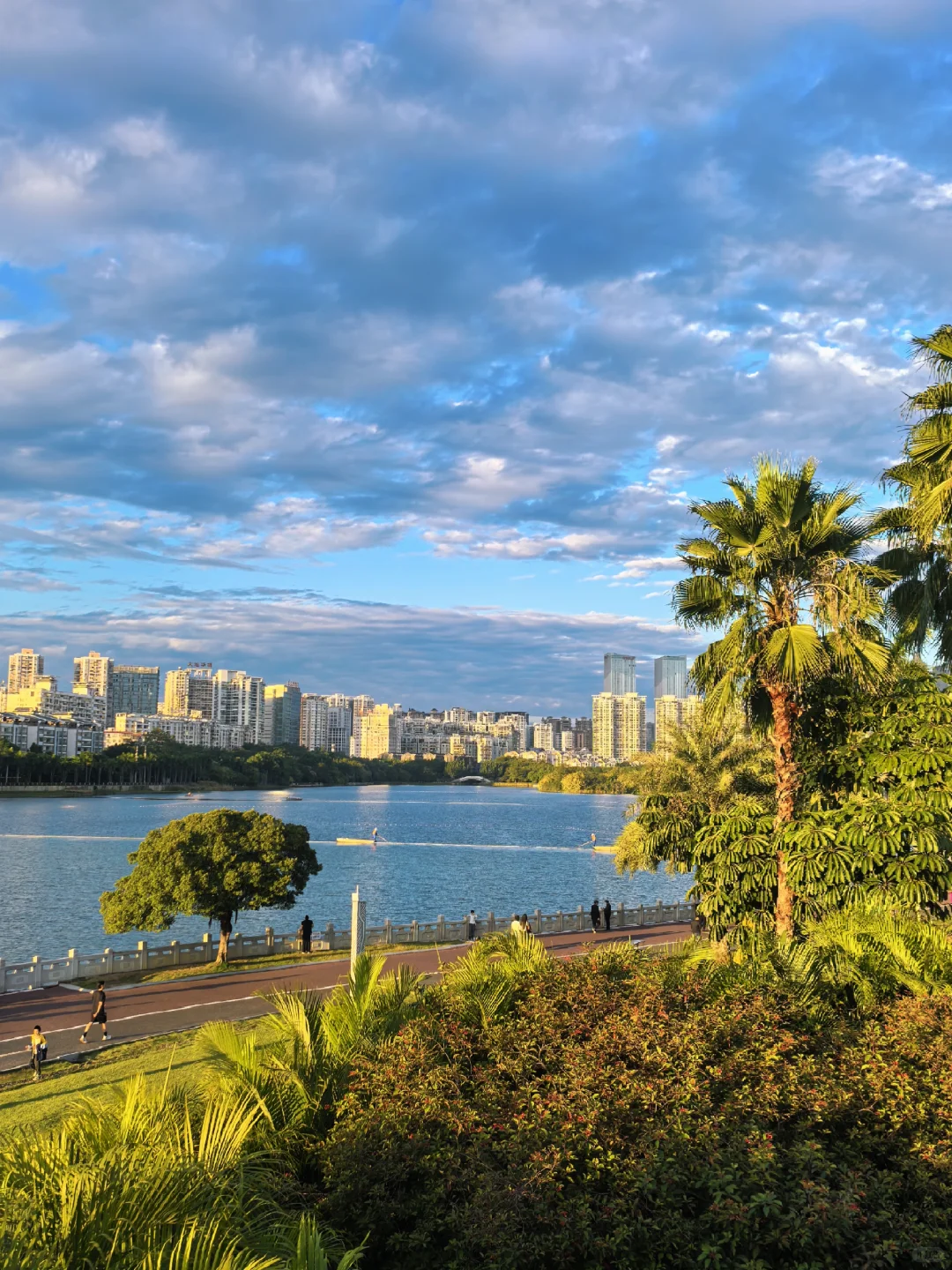 在南宁生活的人应该没什么烦恼吧