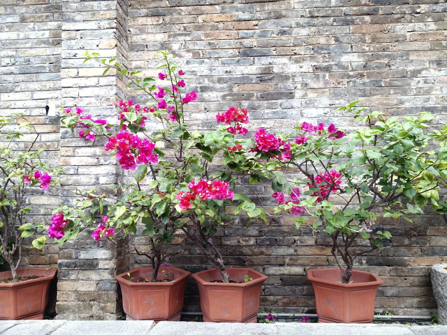 南宁邕州古城三街两巷清晨版