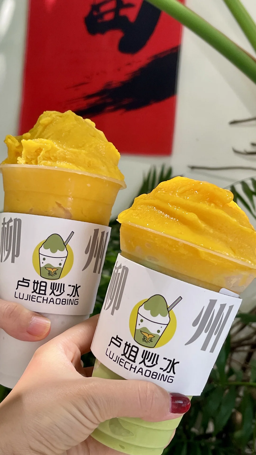 柳州，你真的太好吃了