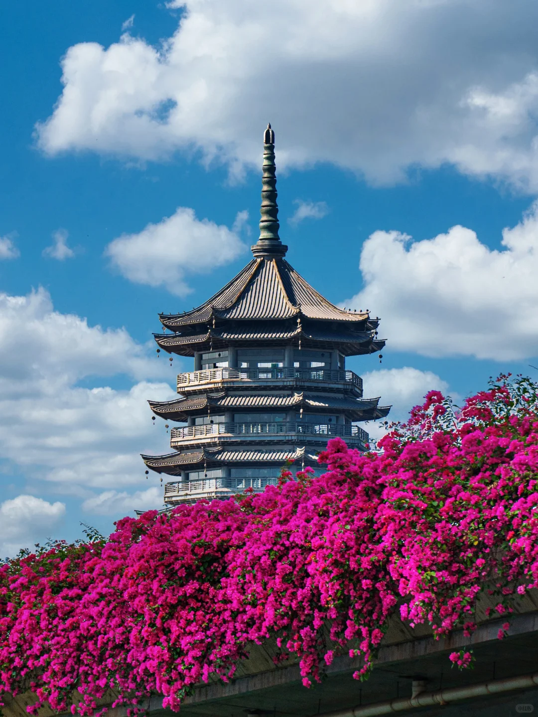 你可能不认识我，但你一定看过我拍的南宁