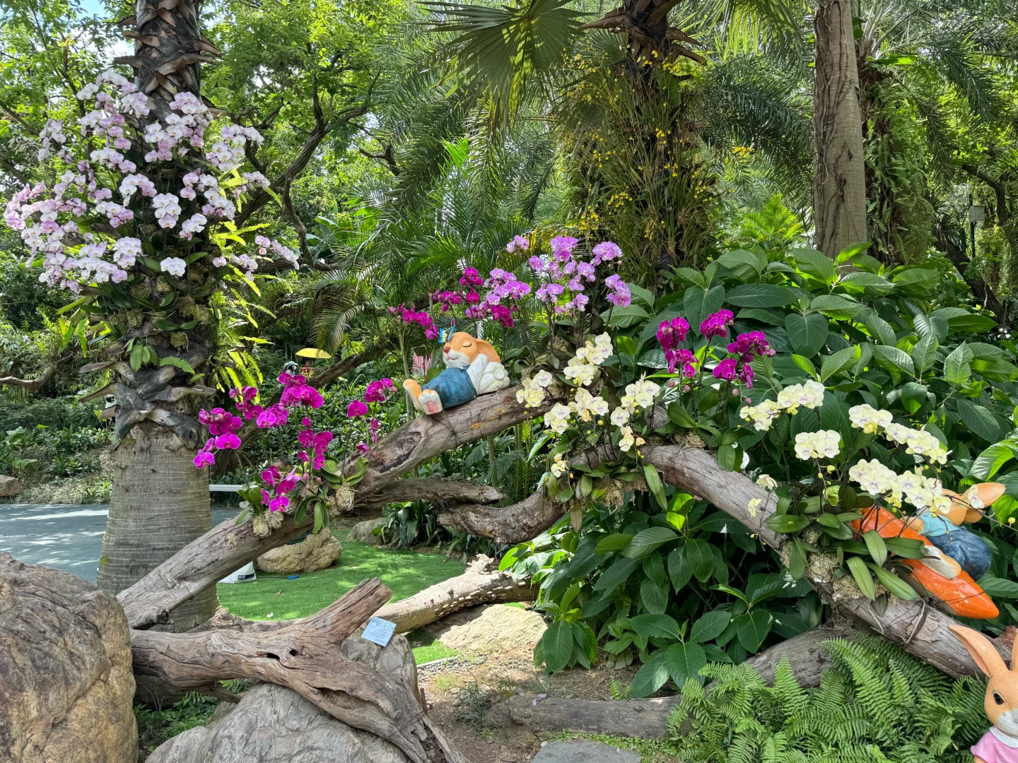 植物爱好者来南宁青秀山会激动的疯掉！