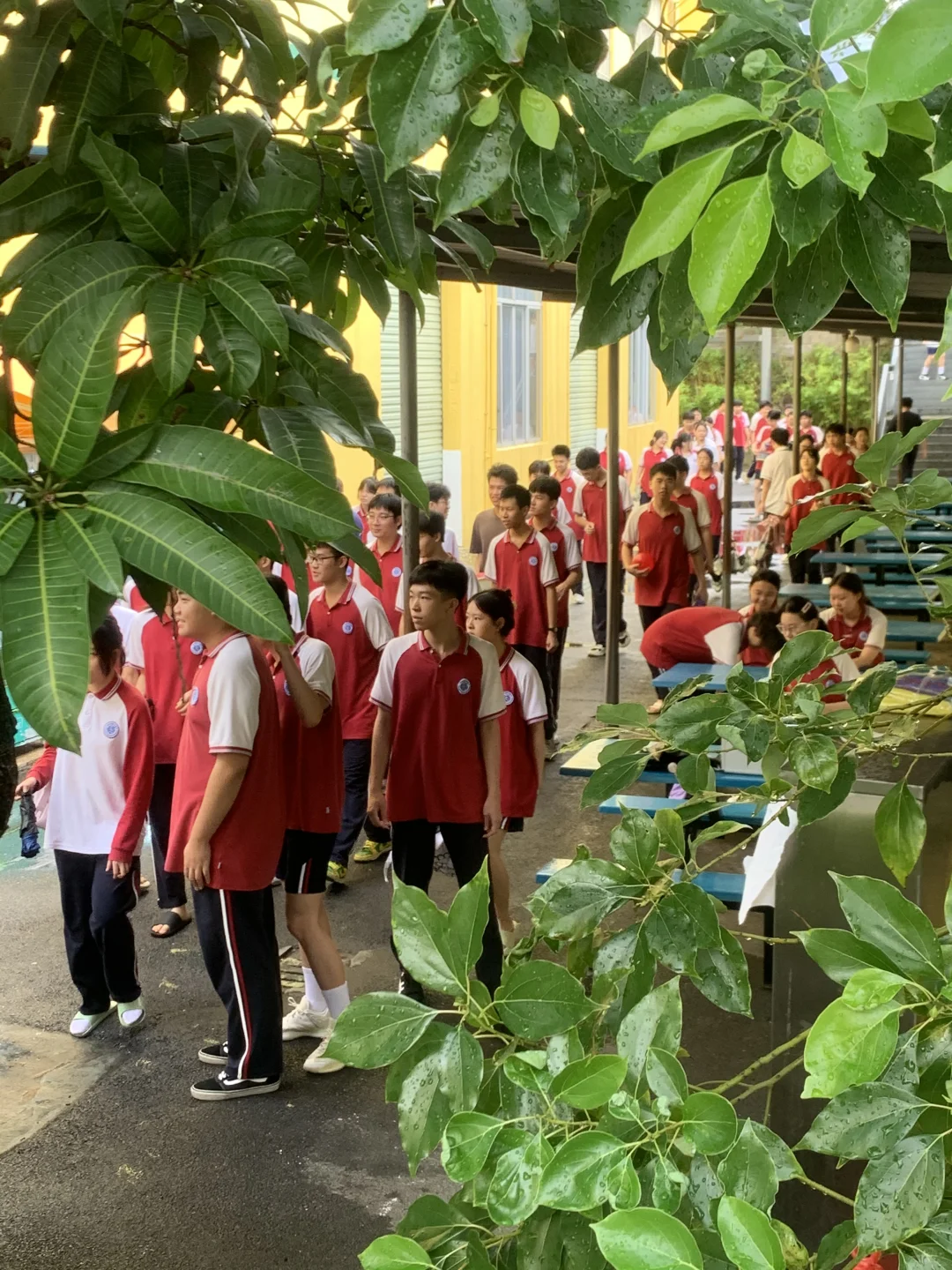 南宁这所学校怎么这样啊！！……